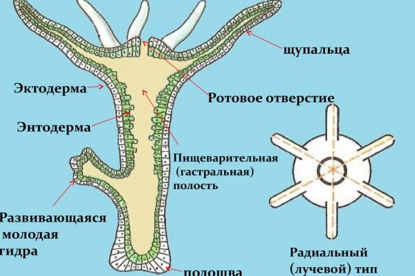 Почему кракен перестал работать