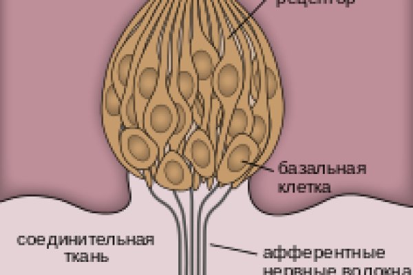 Сайт вместо гидры